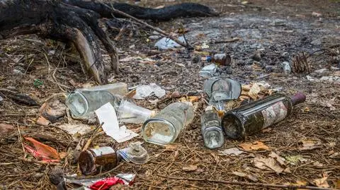 Nawet 5 tysięcy złotych za zaśmiecanie. Wyższe kary za niszczenie środowiska