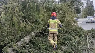 Poniedziałkowe wichury na Podhalu