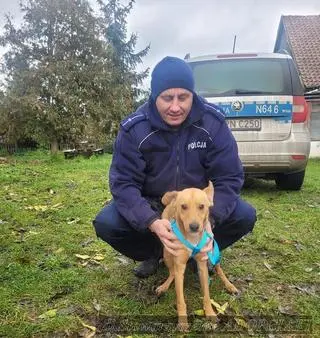 Ośmiomiesięczny psiak trafił do Stowarzyszenia Adopciaki