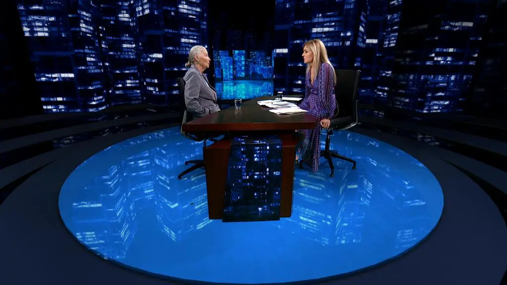 Ewidentna sprzeczność z konstytucją