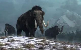 Mamut włochaty 