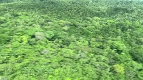 amazonia akw