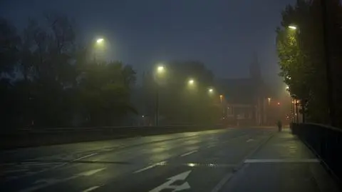 Mglista noc