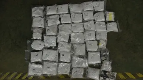 Około 40 kilogramów kokainy w zbiorniku paliwa. "Nienaturalne zachowanie kierowcy"