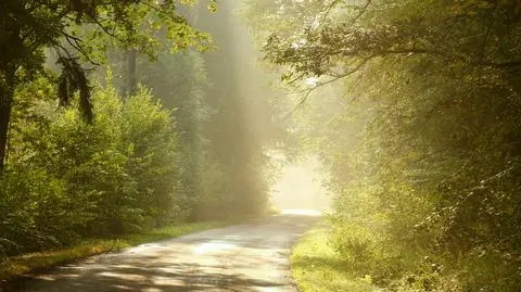 Poniedziałek będzie pogodny, na termometrach do 23 stopni