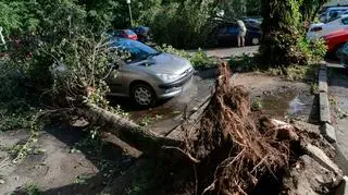 Bilans burzliwej niedzieli. Zerwane dachy, połamane drzewa