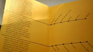 Rozkład jazdy po literaturze