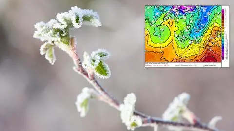 meteo 16