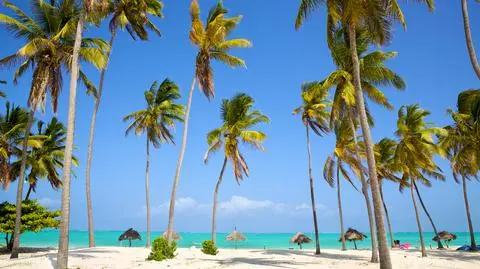 MSZ monitoruje sytuację Polaków na Zanzibarze