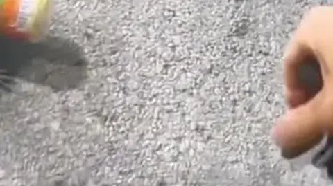 SLOIK_VIDEO_PION_1708