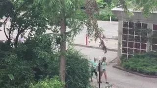 22.07.2016 | Niemcy: strzelanina w centrum handlowym w Monachium