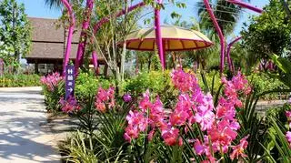 Gardens by the Bay