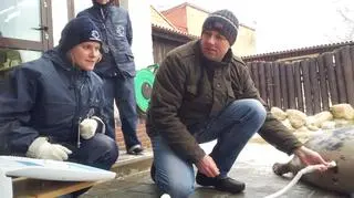 Tak się robi focze USG