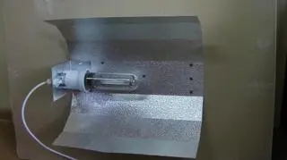 Lampa używana do hodowli