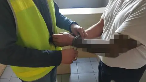 Mężczyzna usłyszał zarzut skatowania psa