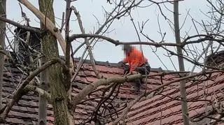 46-latek wszedł na dach w Złotoryi (woj