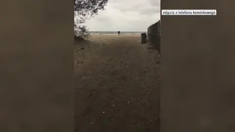 Plaż przeniosła się do parku