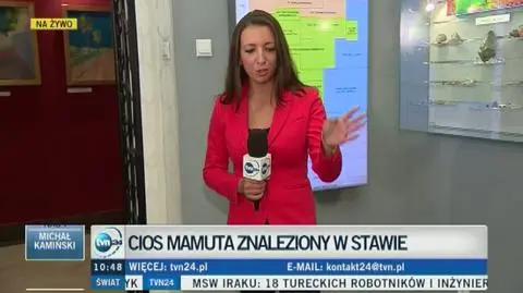 Znaleziono cios mamuta który może mieć 20 tys