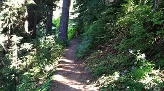 PCT w Oregonie 