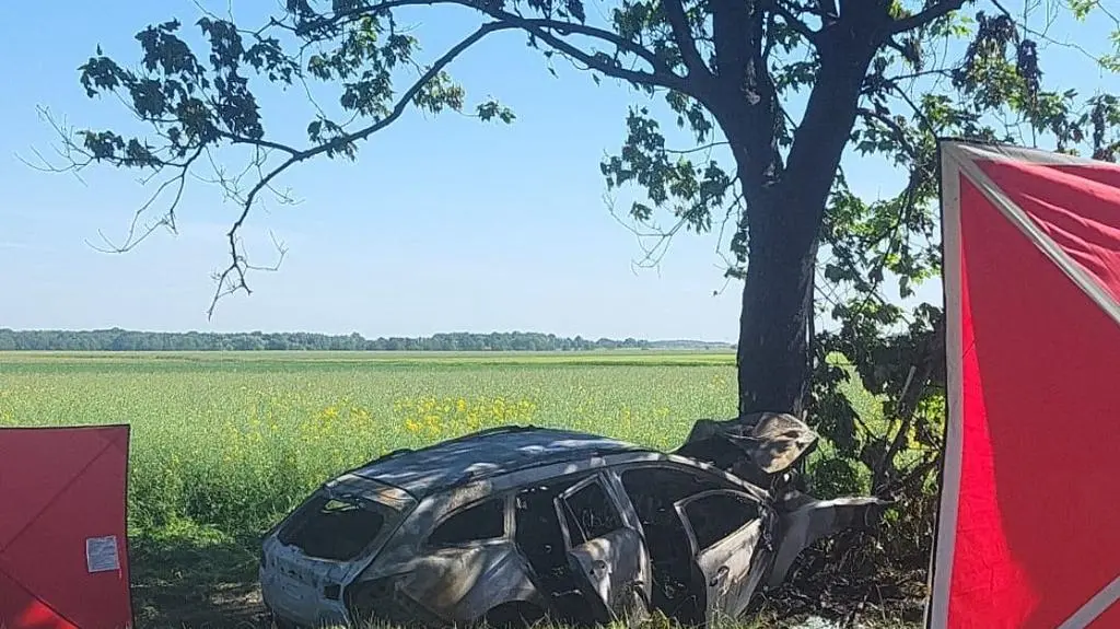Kierowca nie żyje