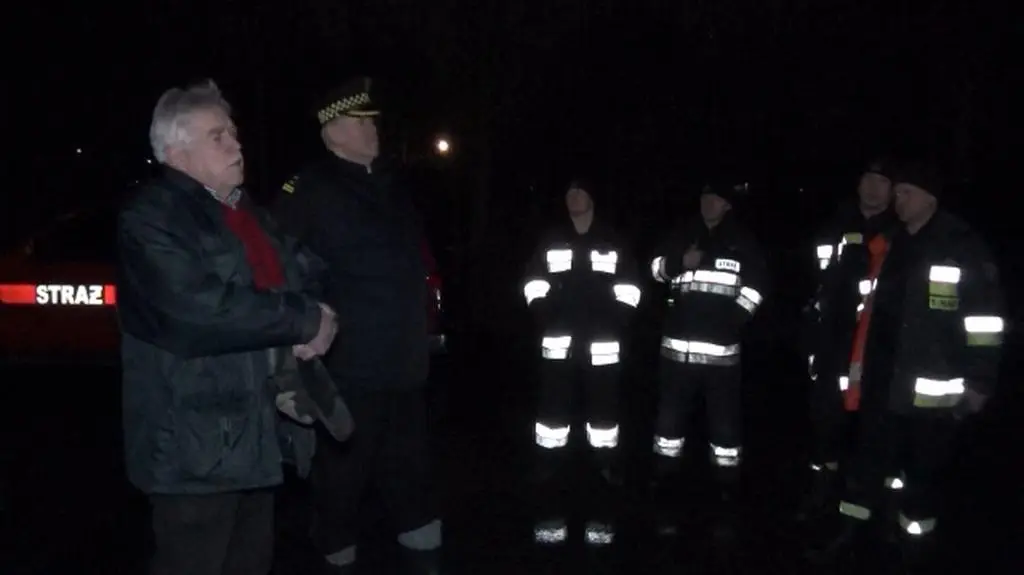 Strażnicy próbowali zagonić łosie do lasu
