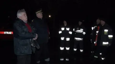 Strażnicy próbowali zagonić łosie do lasu