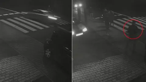 Pies zginął potrącony na pasach