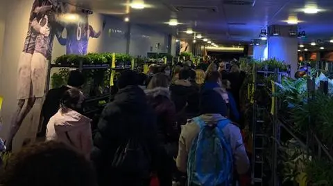 Tłumy na wyprzedaży roślin