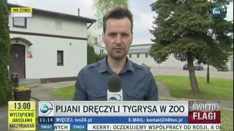 Pijani dręczyli tygrysa