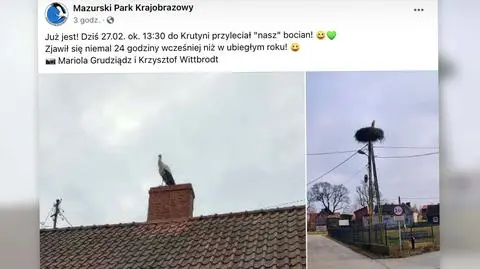 Do mazurskiej wsi przyleciał bocian. Wcześniej niż rok temu