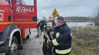 Na miejsce przyjechali strażacy ochotnicy