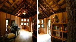 Treehouse - luksusowe domki na drzewie