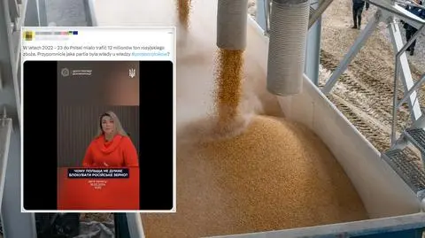 "Polska sprowadziła 12 milionów ton rosyjskiego zboża"? To nieprawda