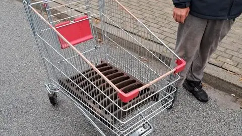 Ukradli kratkę ściekową. Była za ciężka, więc zgarnęli jeszcze sklepowy wózek