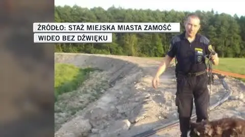 Staż Miejska Miasta Zamość