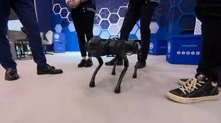 Robot Rexio ma oswajać dzieci z maszynami szpitalnymi