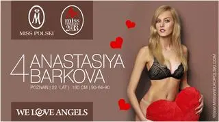 III Vicemiss Wielkopolski 2013