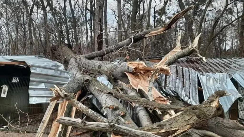 Zniszczenia w schronisku dla zwierząt w Toruniu (wideo bez dźwięku)