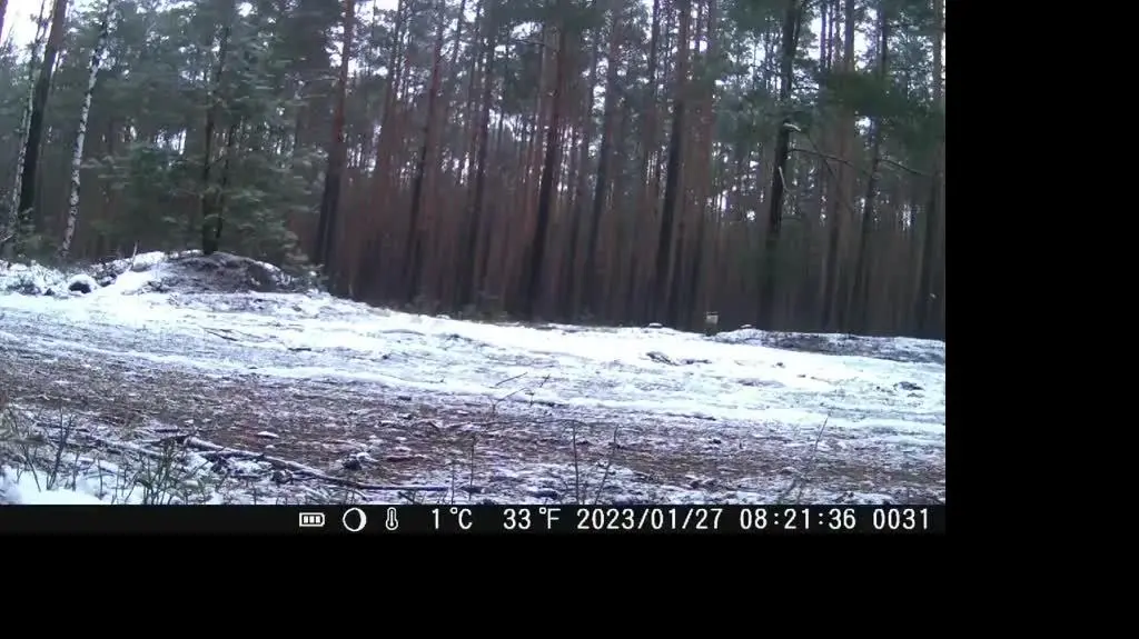 321995910_2093058900888708_1997721329620669717_n