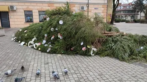 Miejska choinka runęła na plac. Sprawę bada policja, burmistrz mówi o celowym działaniu