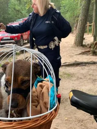 Policjanci i strażacy uratowali też psa 63-latka