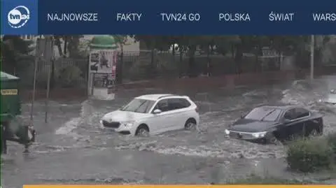 zielona