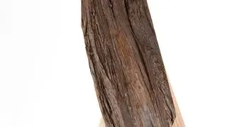 Ronan  & Erwan Bouroullec