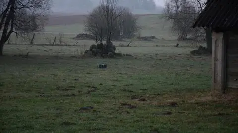 Pakunek zrzucony został na łąkę