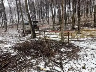 Osoby odpowiedzialne za zbiegłe bydło ustawiły samowolnie prowizoryczną zagrodę z nęciskiem. Nic to nie dało