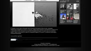Zdjęcie Marcina Ryczka: A Man Feeding Swans in the Snow/ Winter in Krakow