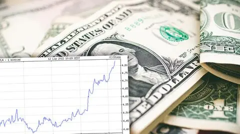 Dolar najdroższy w historii. "Sprawy na ten moment nie wyglądają przesadnie różowo"