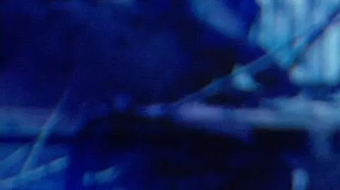 Sienkiewicz o Putinie: klęska jego dotychczasowej polityki zmusiła go do ruchu, którego się obawiał