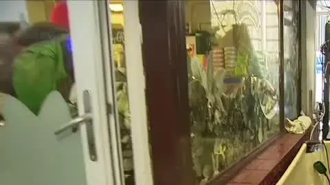 live swieta 2