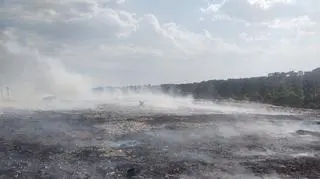 Pożar wysypiska w Długoszynie